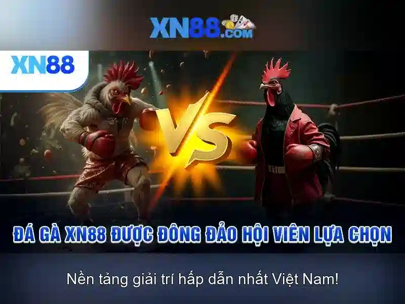 Phát triển và cộng đồng xn88