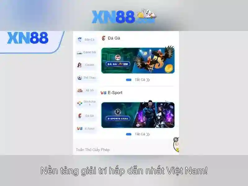 Các sản phẩm và dịch vụ