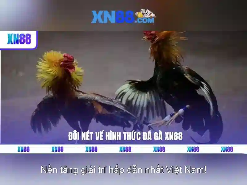 xn88 có lừa đảo không: Đánh giá uy tín và sản phẩm