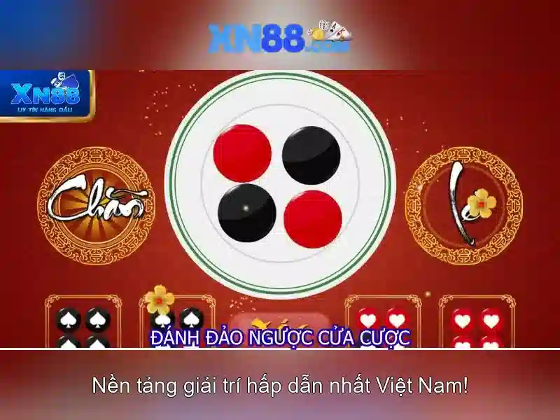 Các tính năng nổi bật\n
