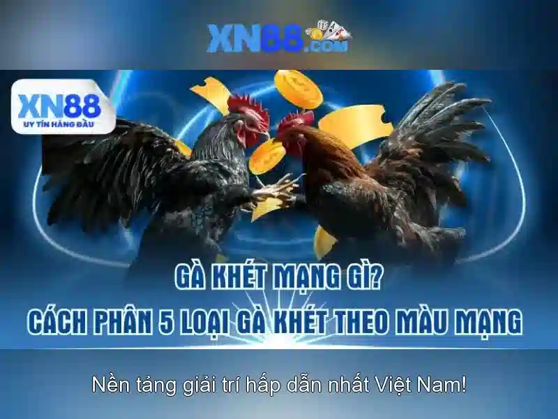 Ứng dụng và tiện ích