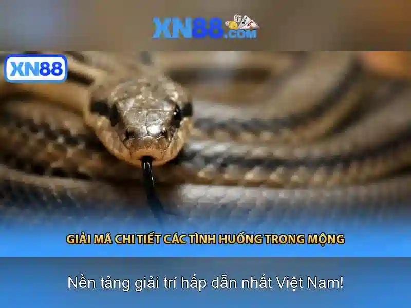 Nền tảng và an toàn