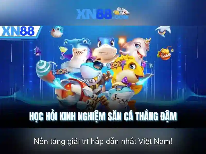 Định nghĩa xn88
