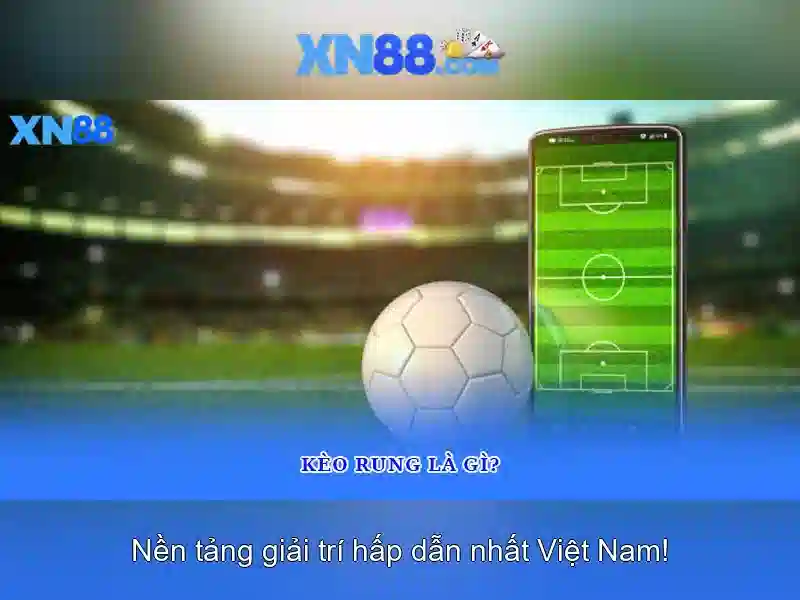 Kinh nghiệm người dùng