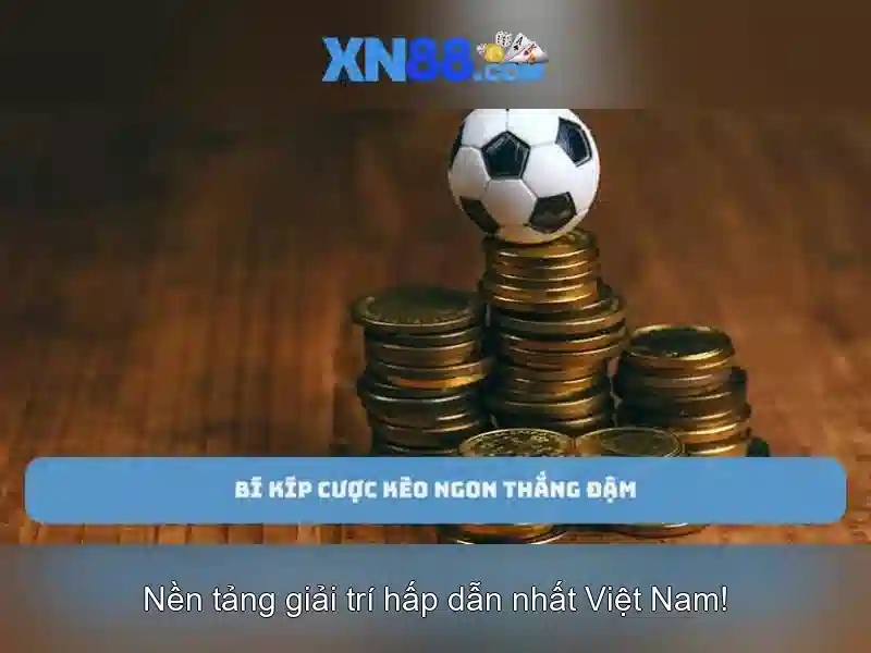 Giao diện nhà cái hoàn hảo