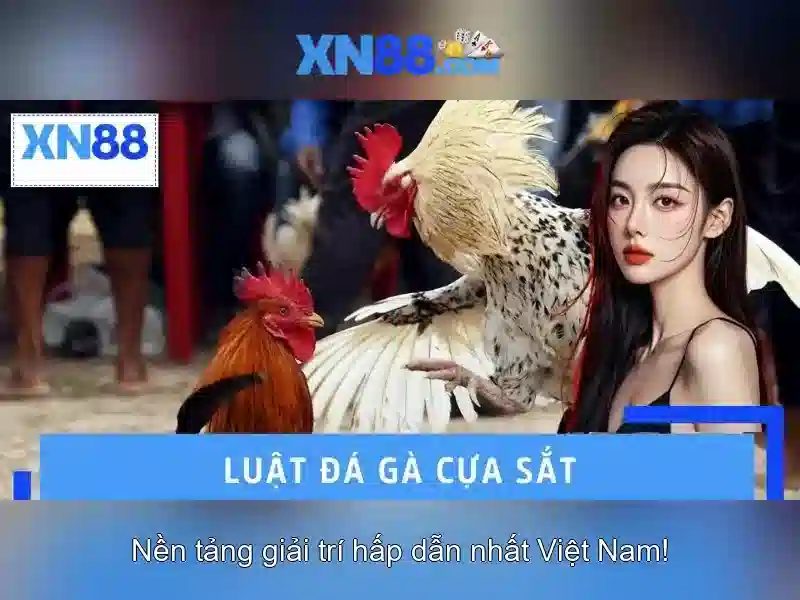 XN88: Tổng quan về nền tảng chơi trực tuyến Giao diện nhà cái hoàn hảo