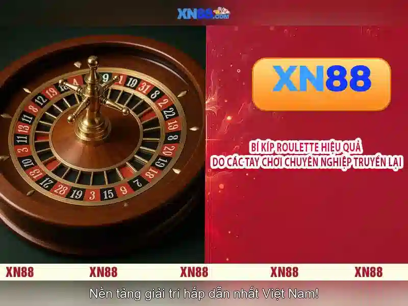 Giao diện và trải nghiệm người dùng