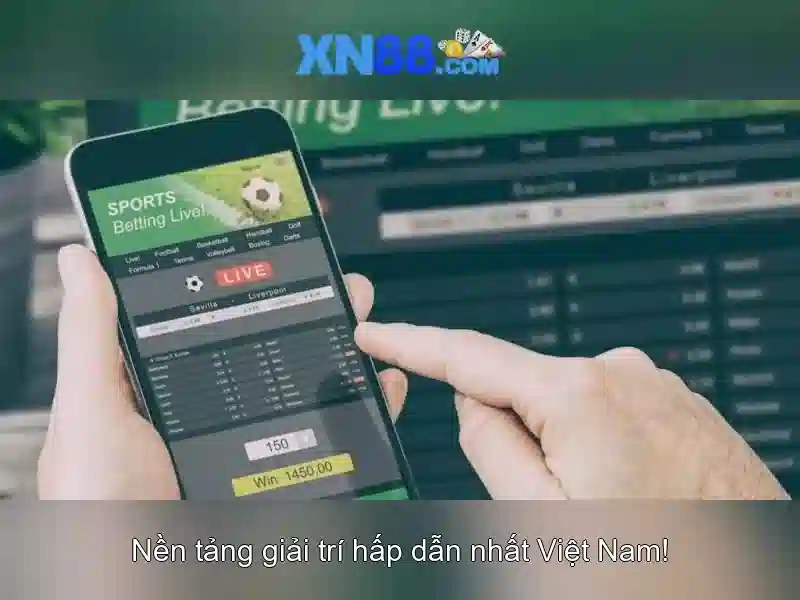 Chính sách an toàn và thanh toán