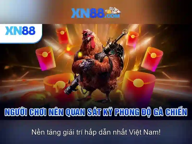 xn88: Tổng quan về nền tảng giải trí và đặt cược