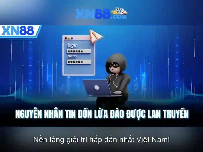 Cách hoạt động và dịch vụ
