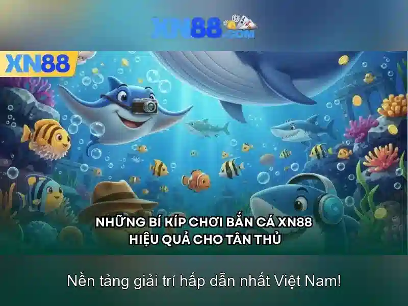 Giao diện nhà cái hoàn hảo