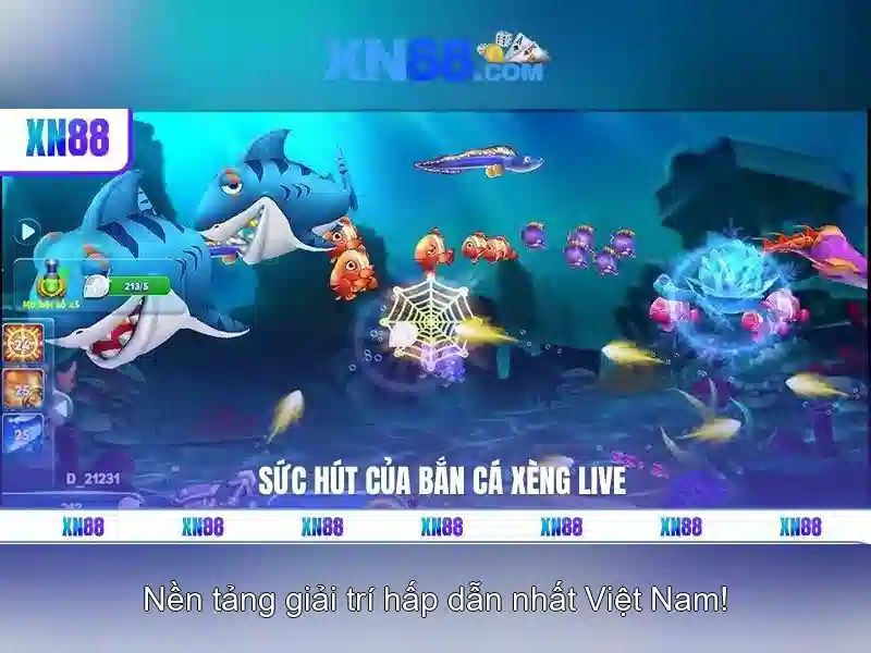 Giới thiệu về xn88