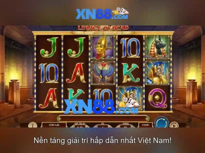 Các dịch vụ chính