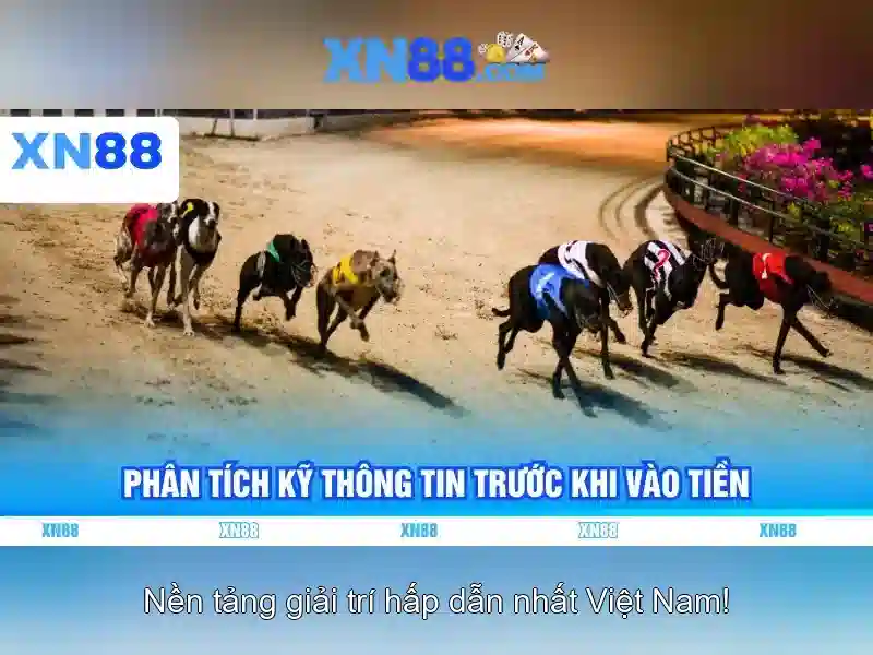 Lịch sử và nguồn gốc