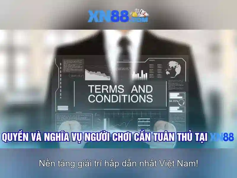 xn88: Nguồn gốc, định hướng và các tính năng