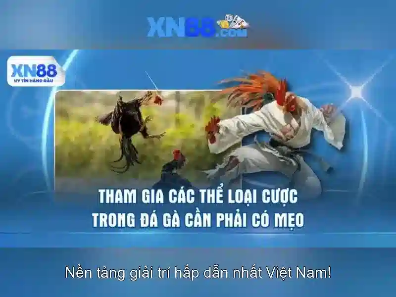 Xn88 là gì và những điều bạn cần biết Giao diện nhà cái hoàn hảo