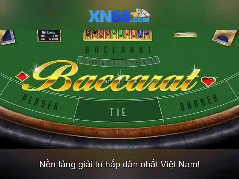 Lịch sử và nguồn gốc của xn88\n