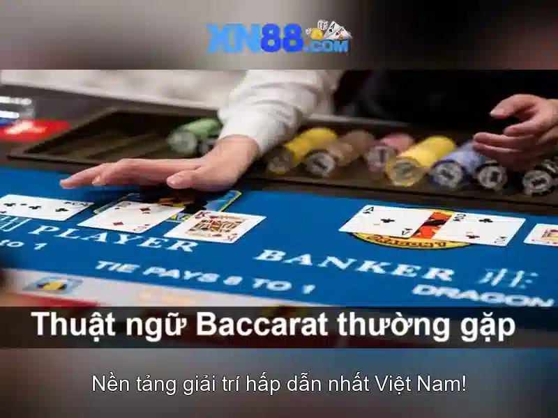 Tính năng nổi bật