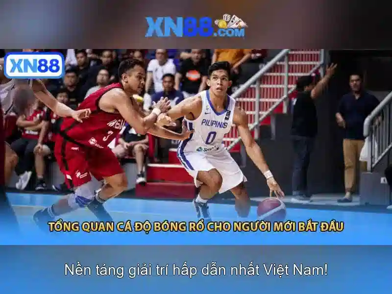 Các sản phẩm và dịch vụ
