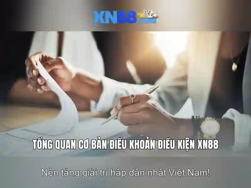 Cấu trúc nền tảng và tính năng\n