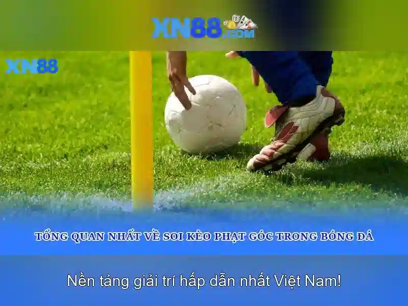 Kết luận và khuyến nghị