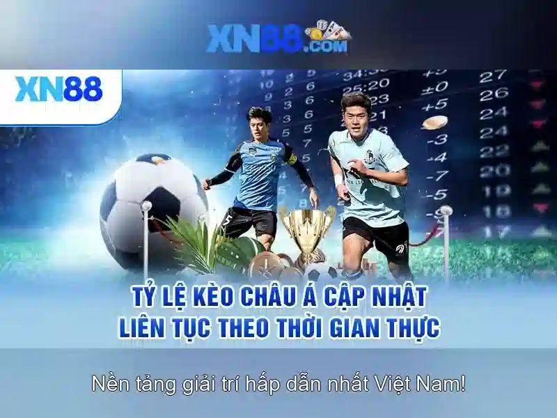 Tổng quan và nguồn gốc\n\n