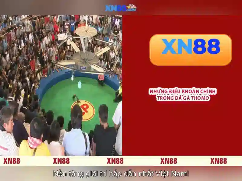 xn88 là gì? Tổng quan về nền tảng giải trí và cược trực tuyến
