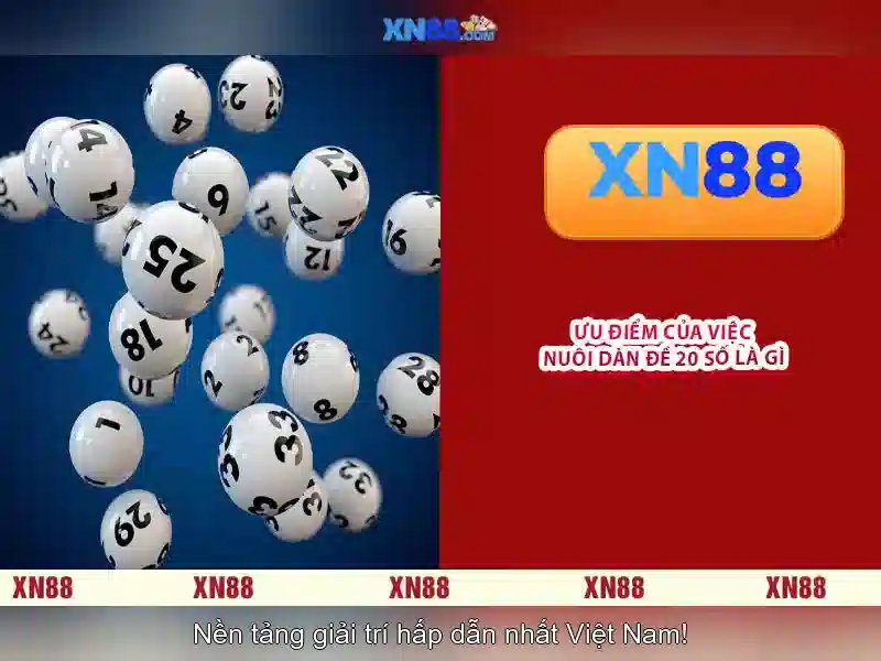 Giới thiệu về xn88