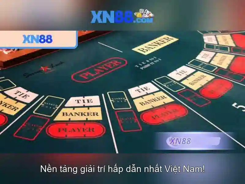 An toàn và pháp lý khi tham gia