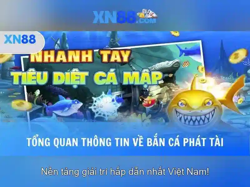 Nền tảng và lịch sử