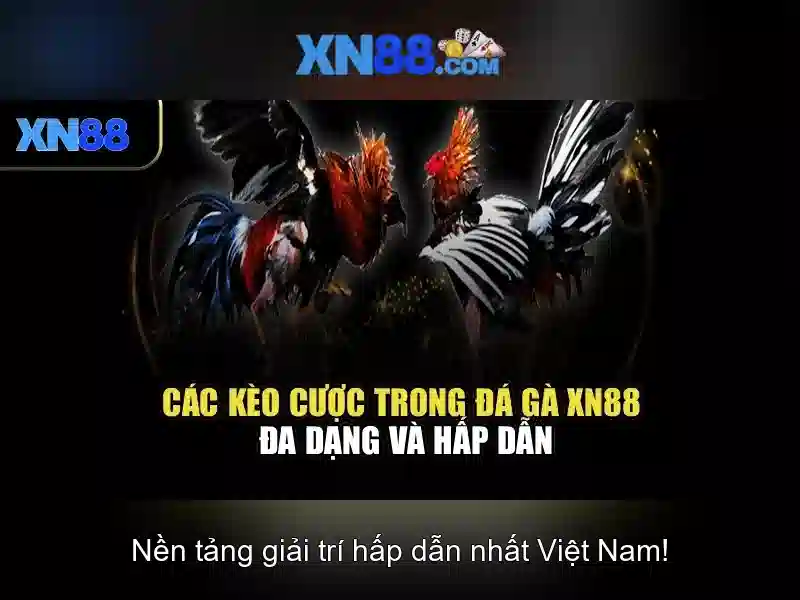 Giao diện nhà cái hoàn hảo