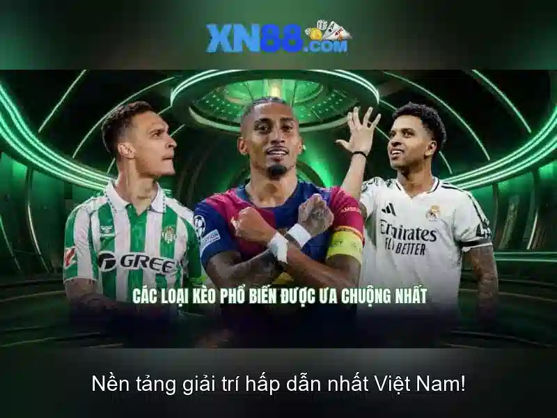 Các tính năng nổi bật